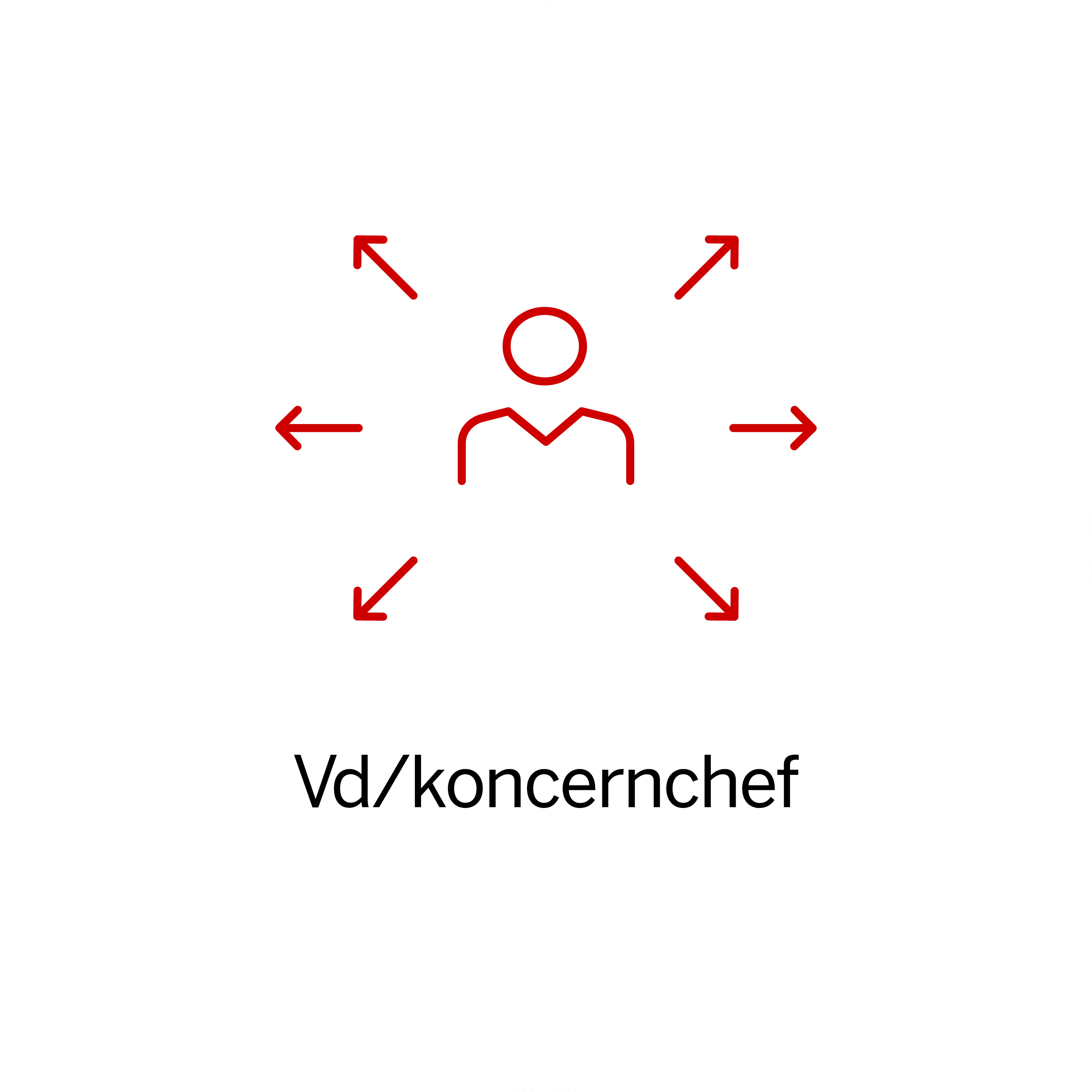 Di Nätverk VD/koncernchef