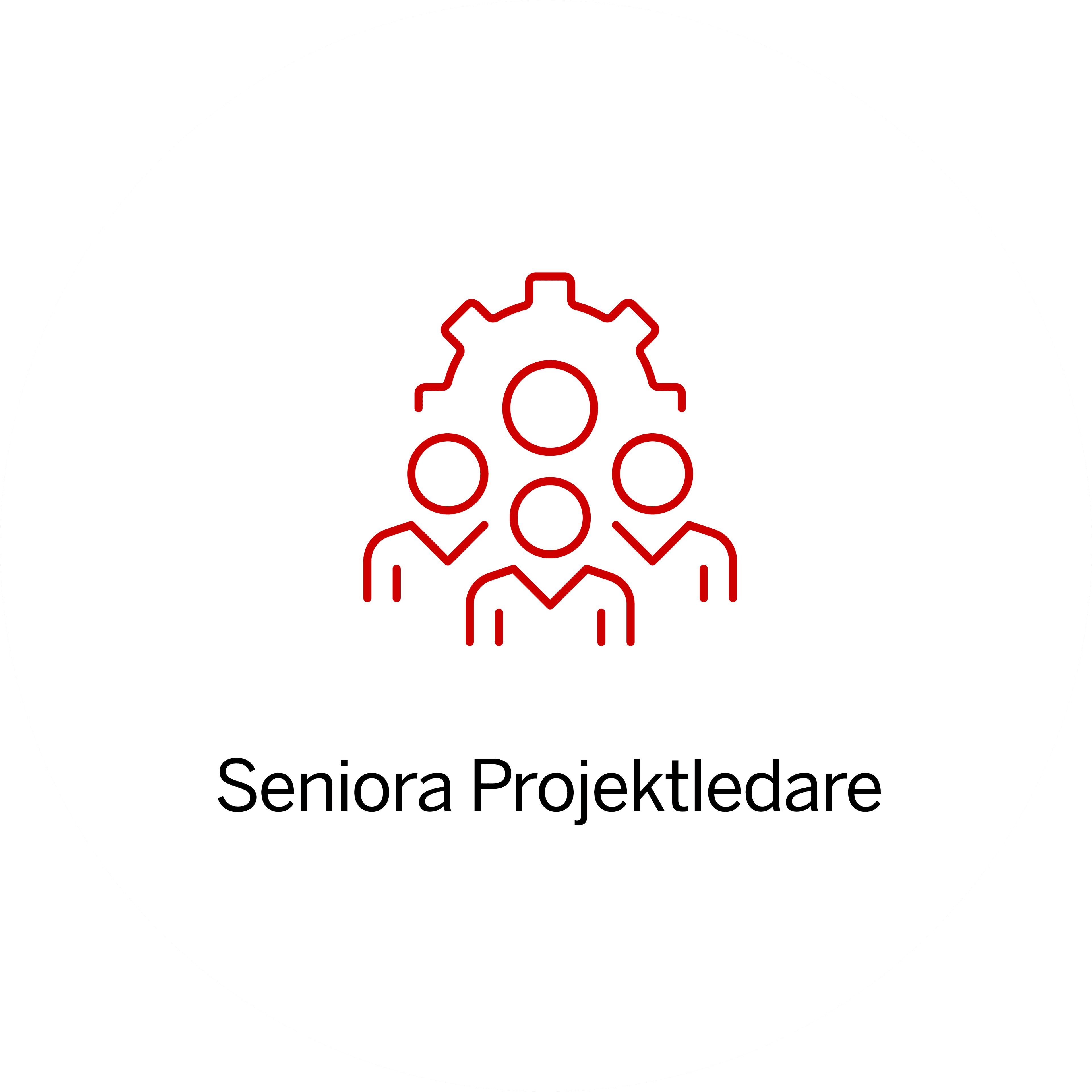 Di Nätverk Seniora projektledare