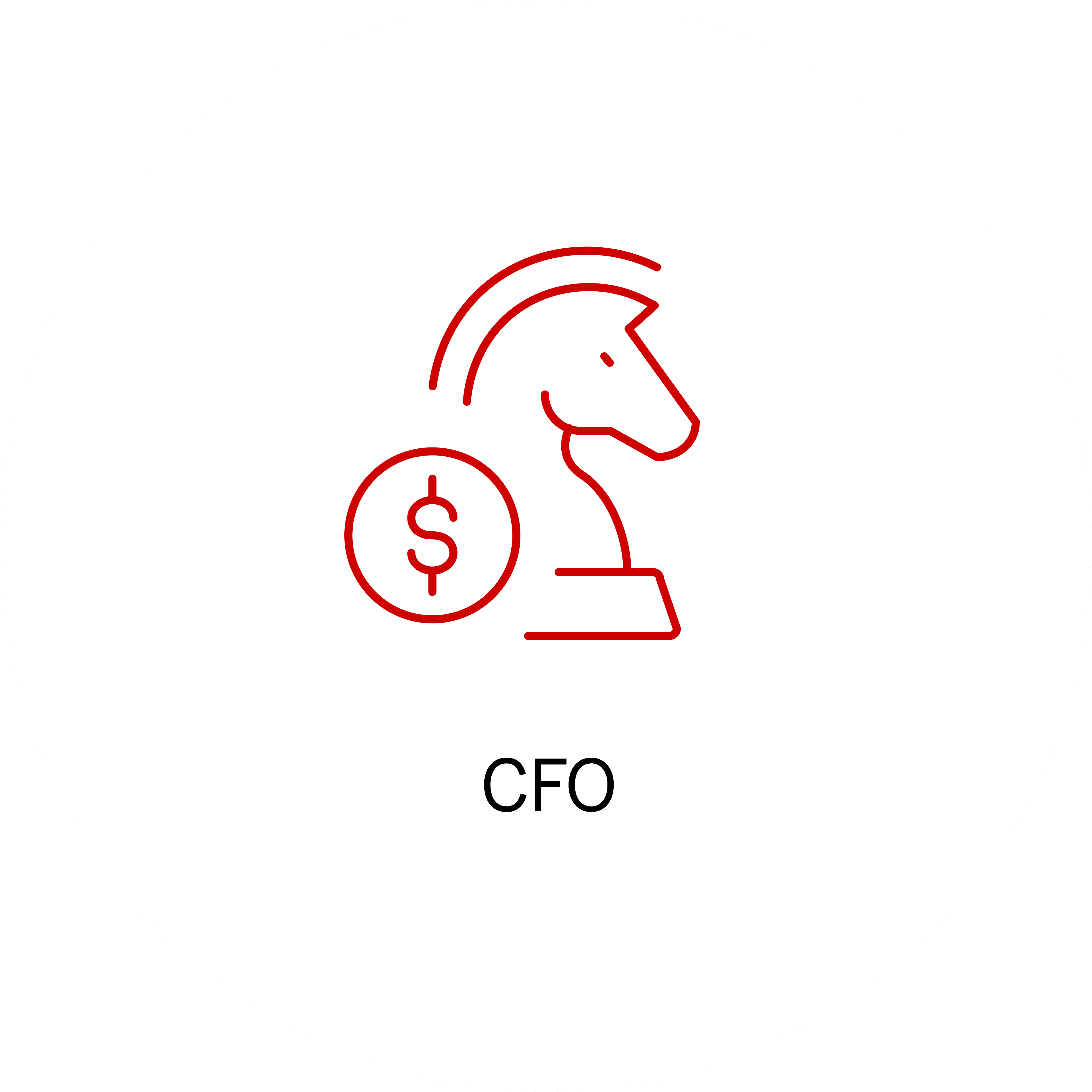 Di Nätverk CFO